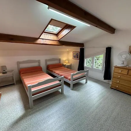 Rose بيسكاروس