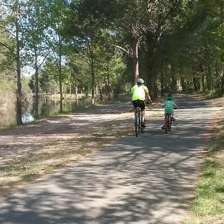 Rose بيت للعطل