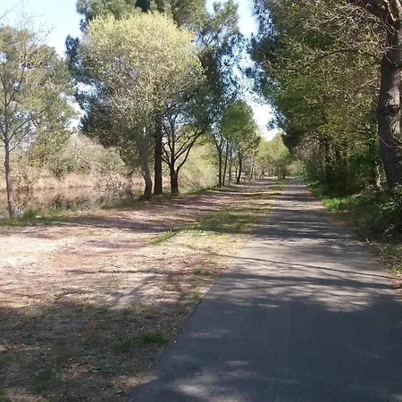 Rose بيت للعطل *