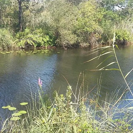 Rose بيت للعطل بيسكاروس