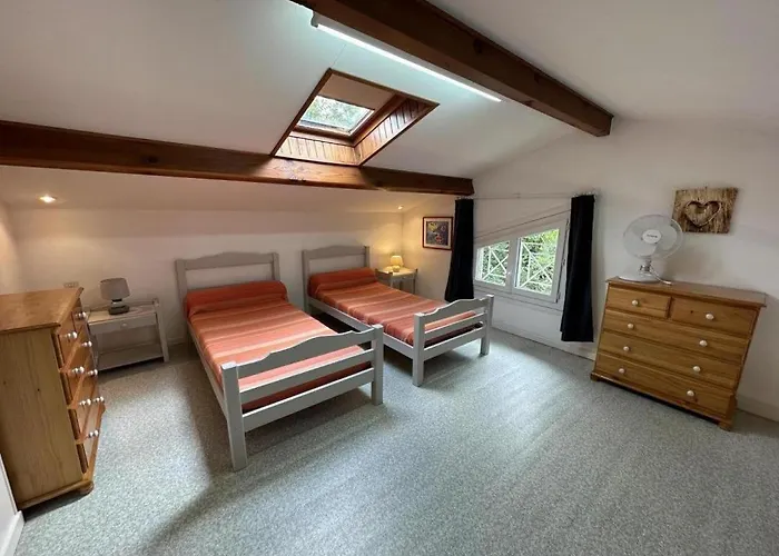 Rose بيسكاروس