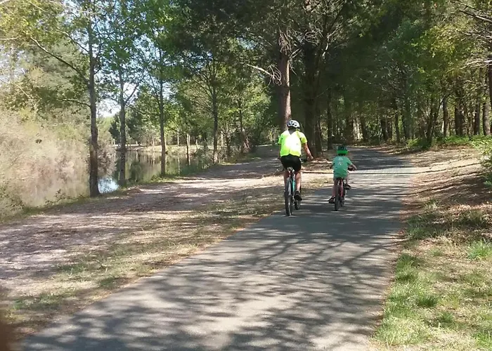 Rose بيت للعطل