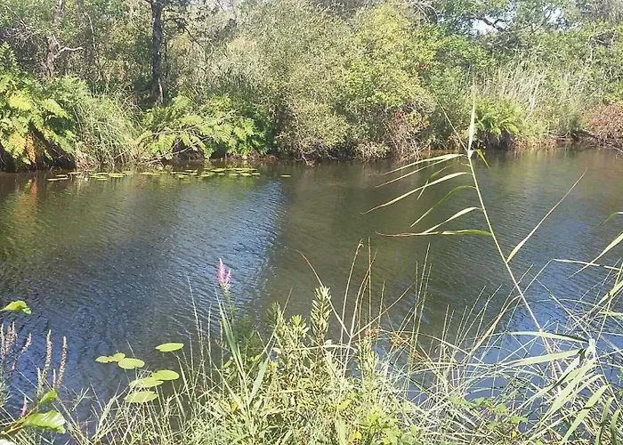 Rose بيت للعطل بيسكاروس