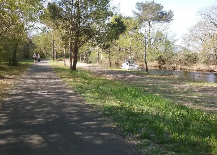 Rose بيت للعطل بيسكاروس